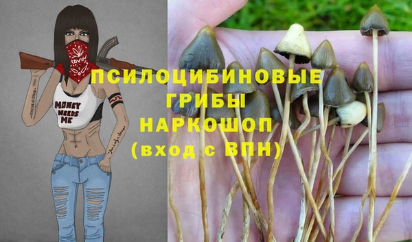 трава Приозерск